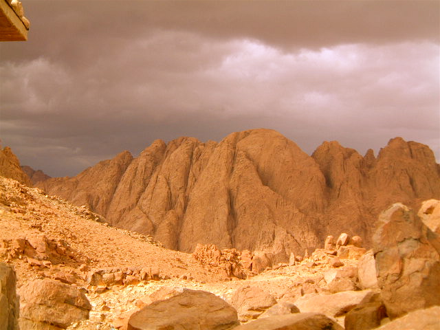 Sinai Desert
